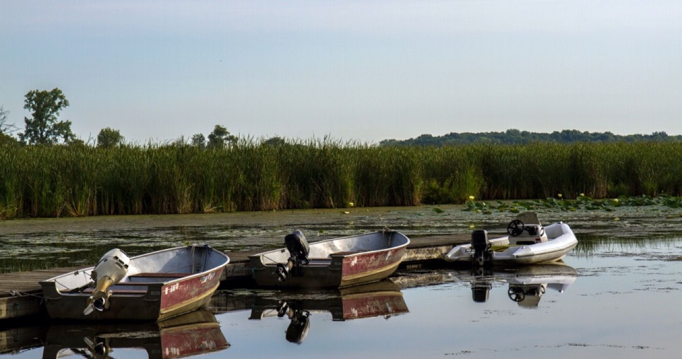 Parque Estadual Chain O' Lakes, Illinois