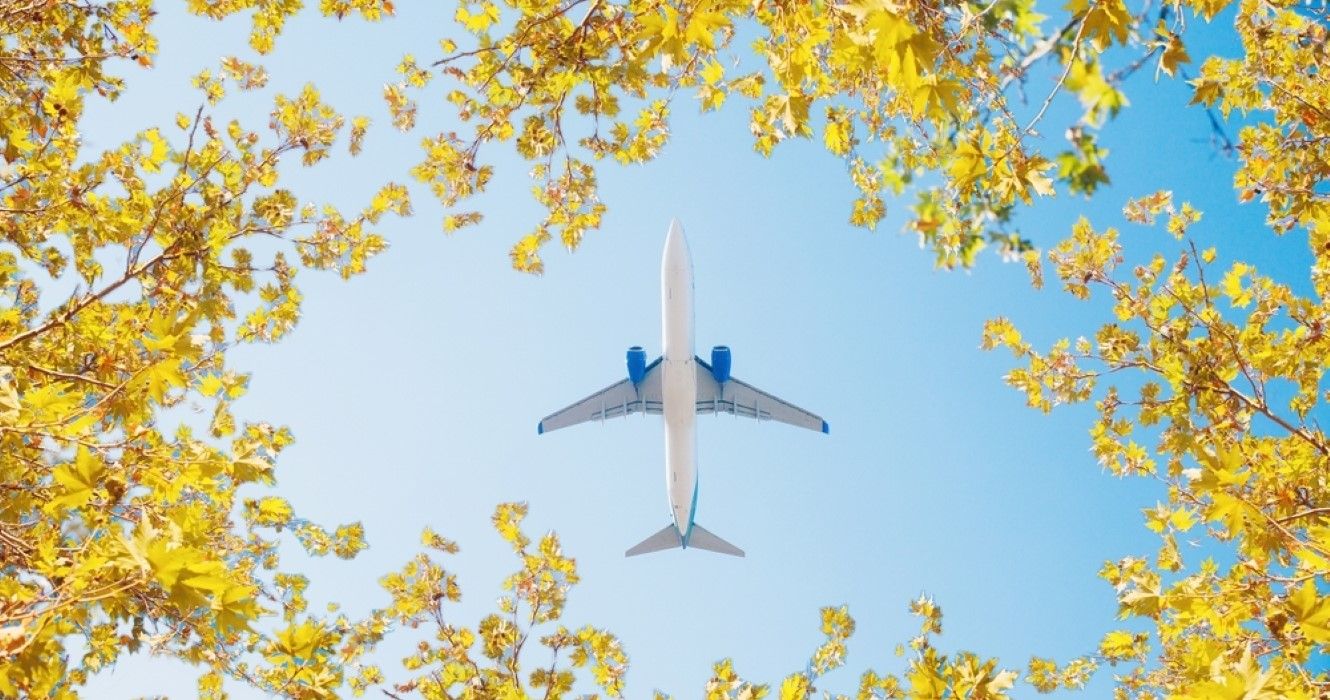 Avião voando sobre bordo amarelo no outono