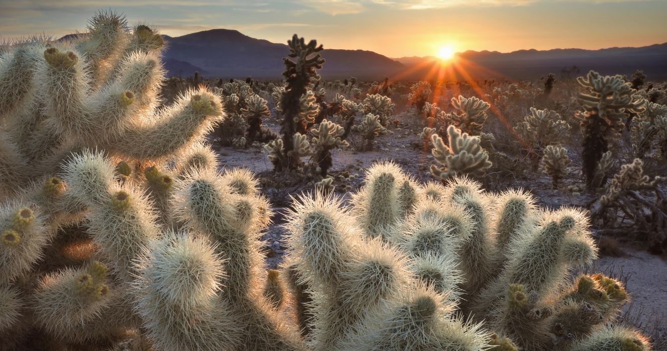 Estas são as melhores caminhadas pelo Parque Nacional Joshua Tree 3 pôr do sol no parque nacional joshua tree